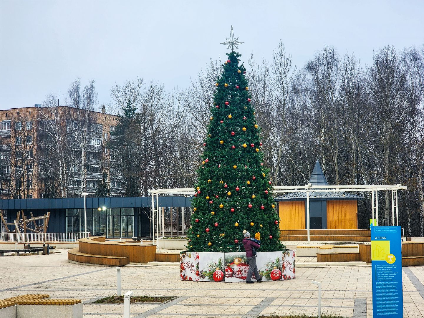 новый год,серпухов, пущино,