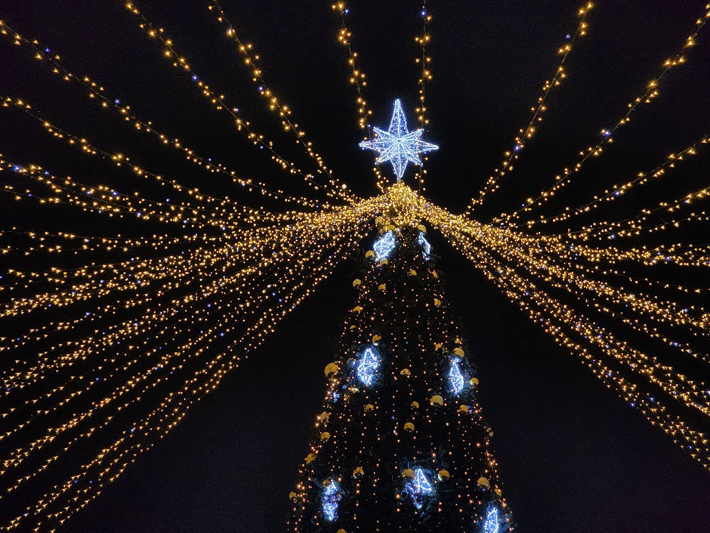 новый год, ёлка, открытие сезона, Парк, гуляние в парке,