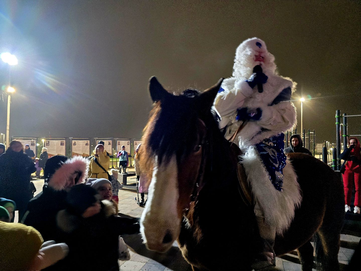 можайск, можайский муниципальный округ, зимний сезон, зима в подмосковье, новый год, общество, праздник в парке,губернаторский проект,