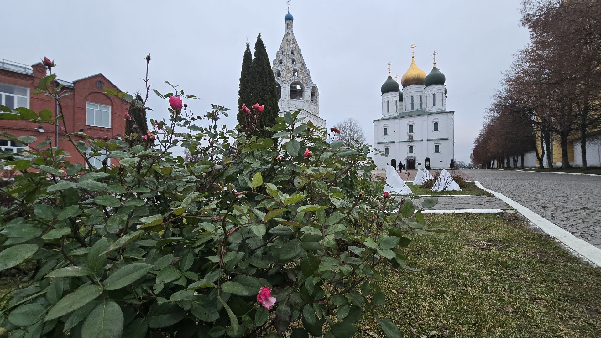 Коломна, старт зимнего сезона, зима в подмосковье, подготовка к новому году, новогодняя елка,