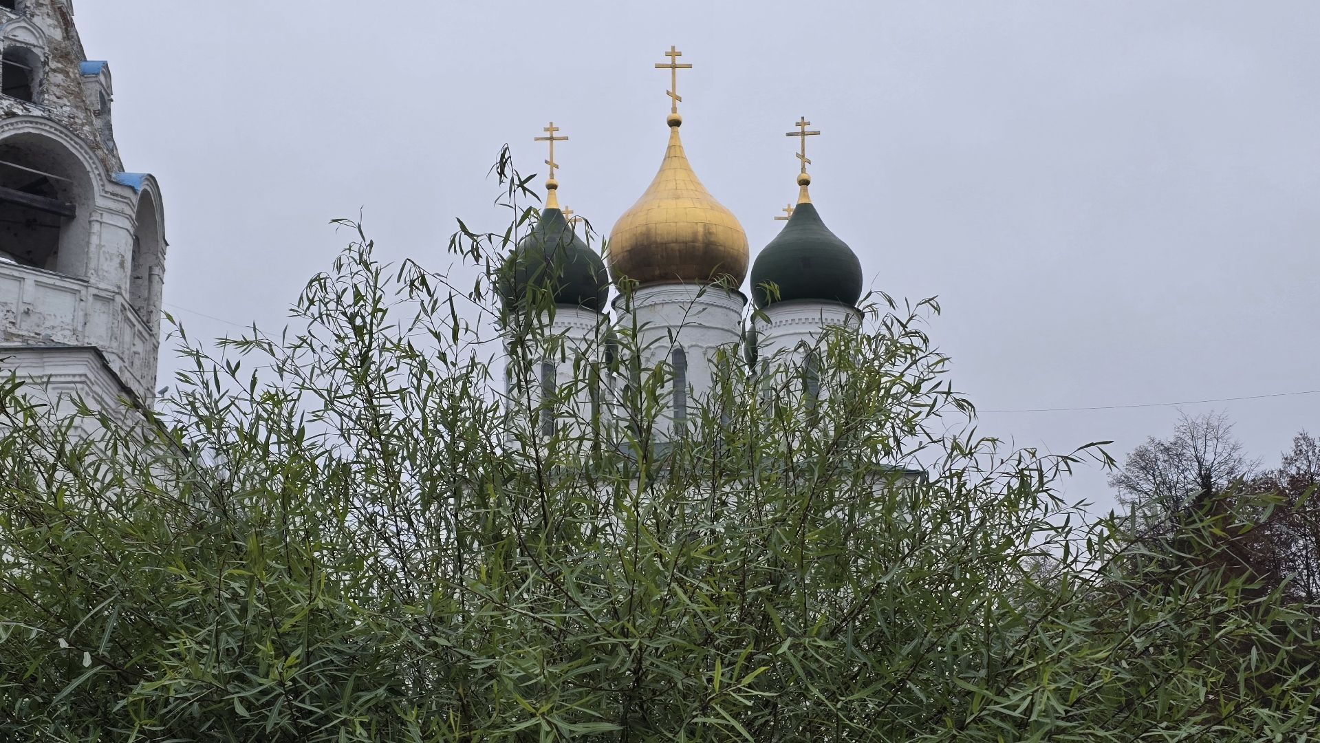 Коломна, старт зимнего сезона, зима в подмосковье, подготовка к новому году, новогодняя елка,