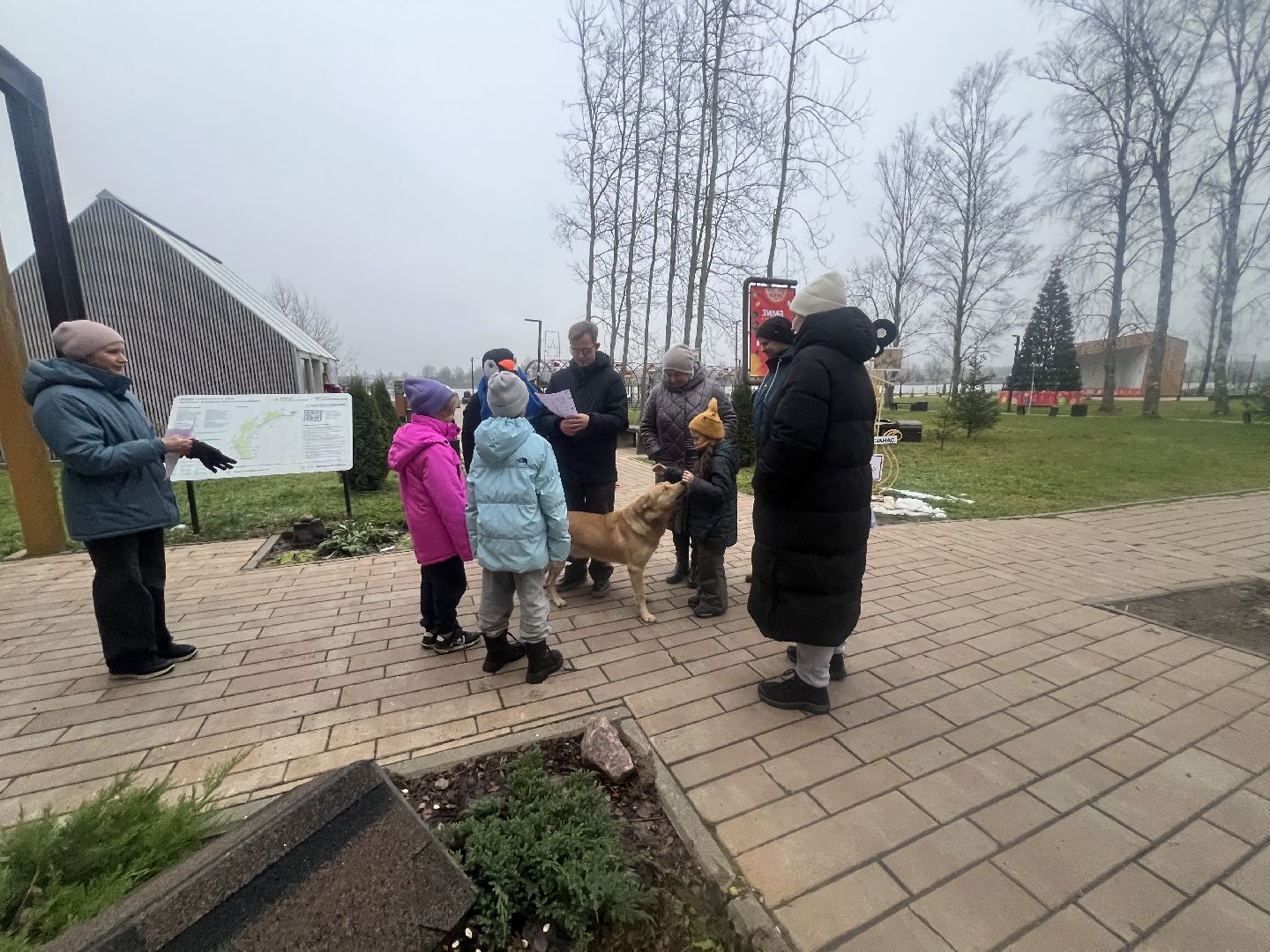 1 декабря Талдом , Елки запрудня ,