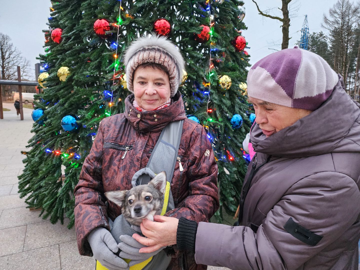 Подольск, Парк дубрава, Открытие зимнего сезона, Зажгли елку,