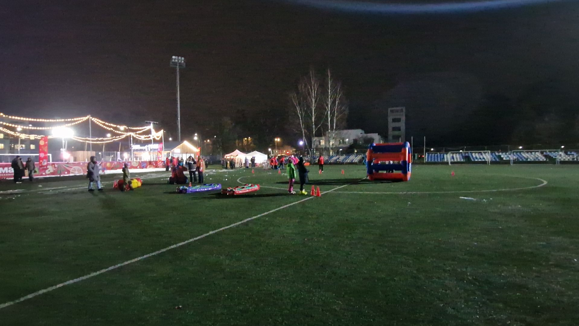 зимавподмосковье, Дубна,БратьяСафроновы,