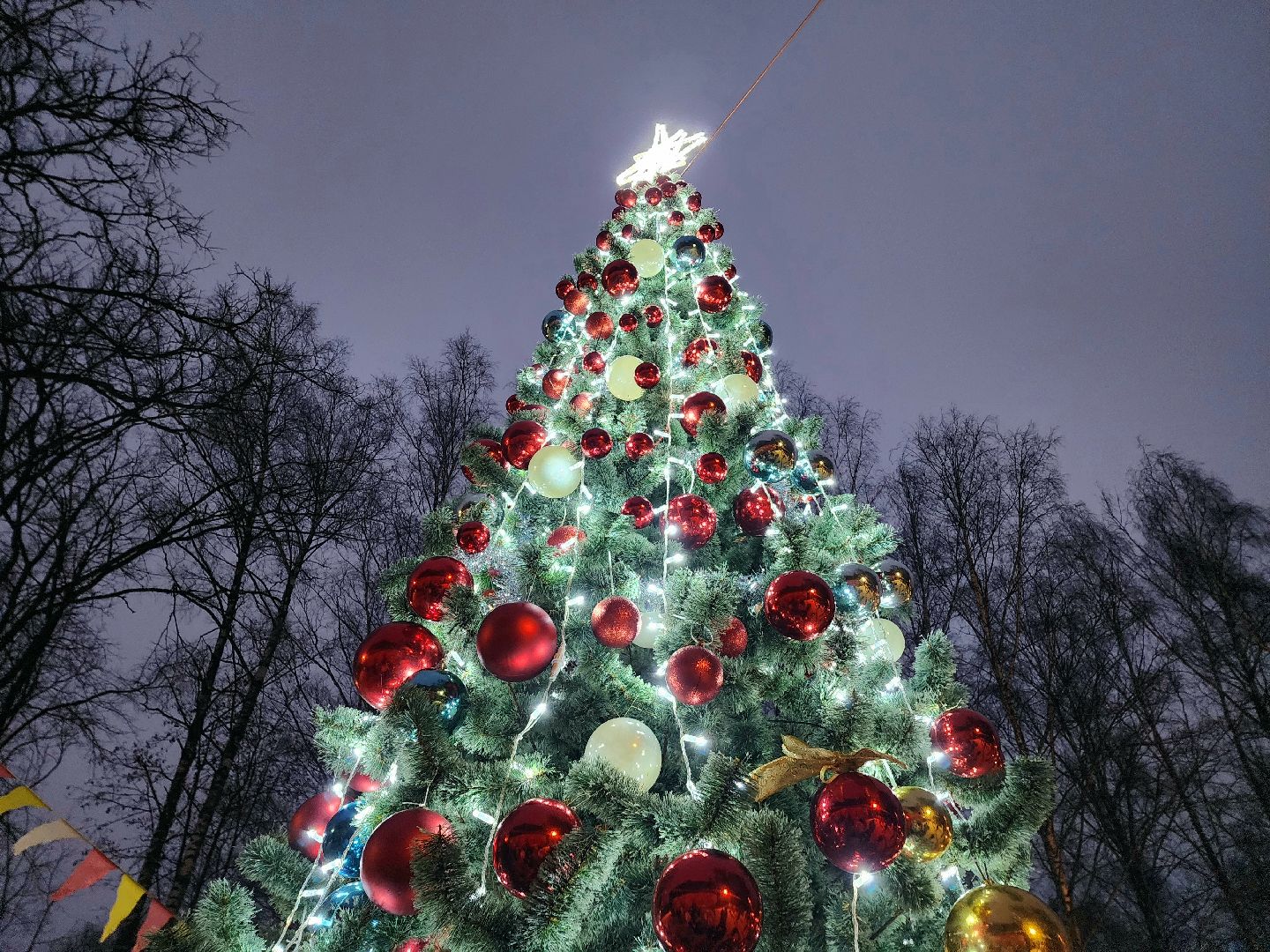 солнечногорск , зима,  праздник , новый год, дети,