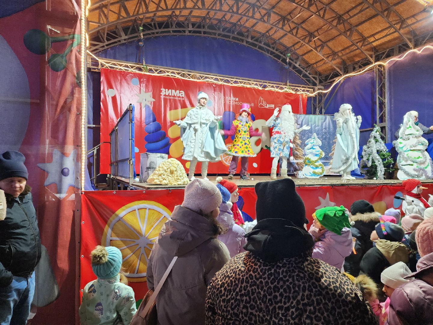 дубна, парк семейного , зимний сезон, зима в подмомсковье,