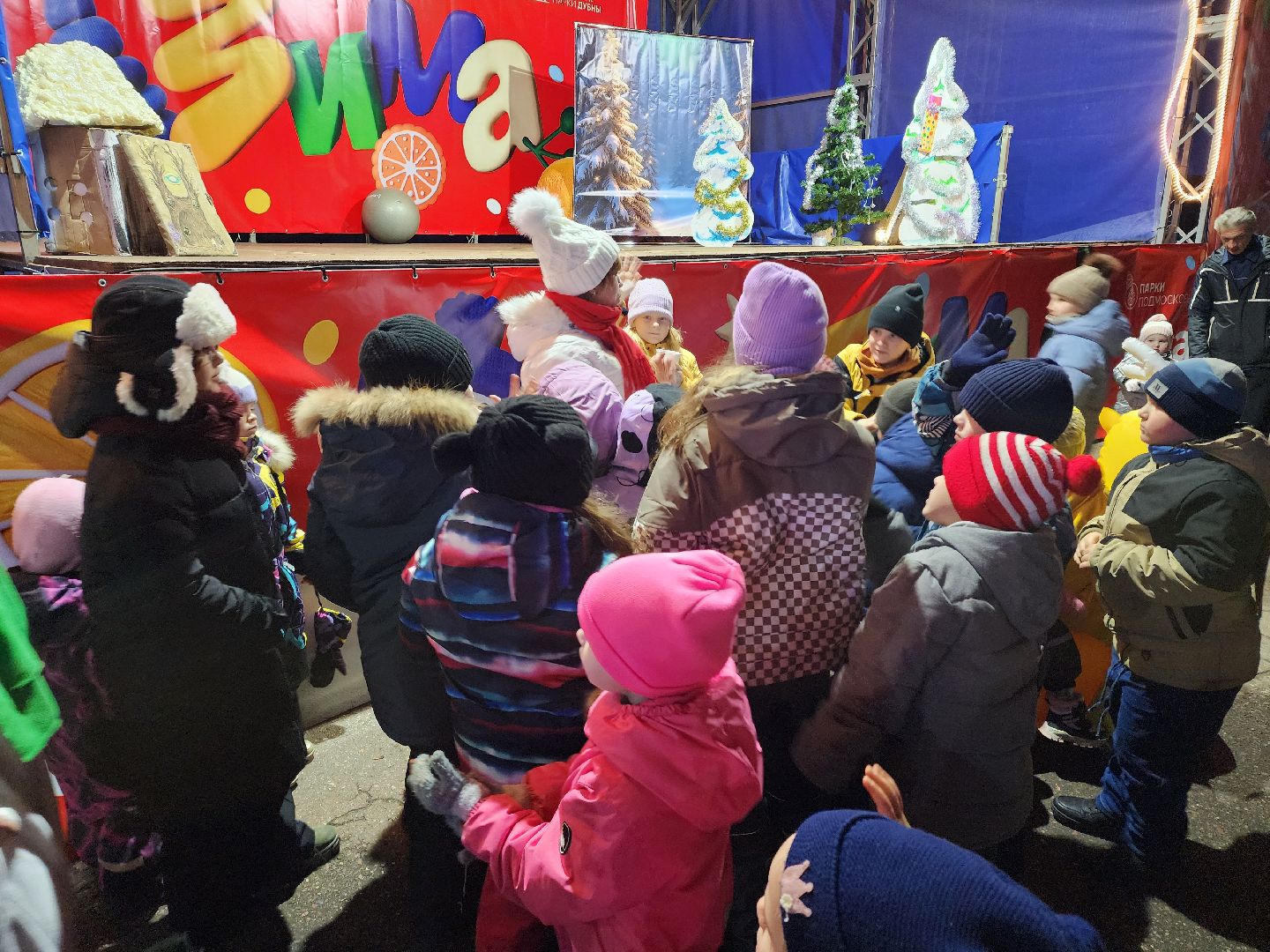 дубна, парк семейного , зимний сезон, зима в подмомсковье,