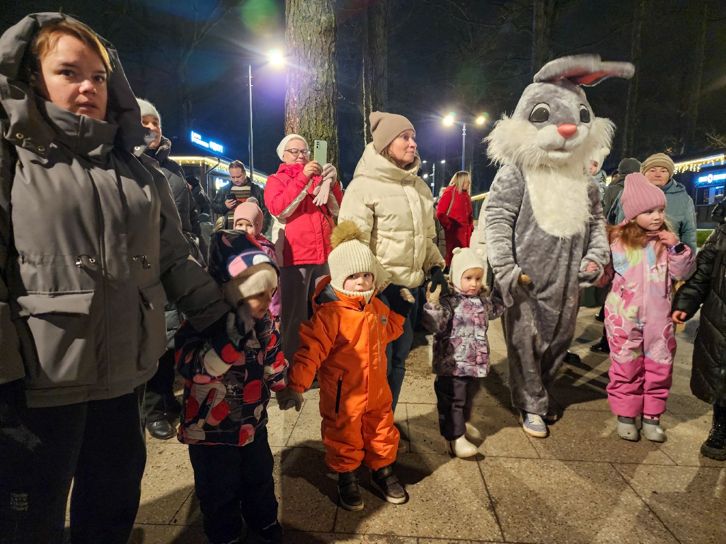Подольск, Парк Дубрава, зима в подмомсковье, Парки Подмосковья,