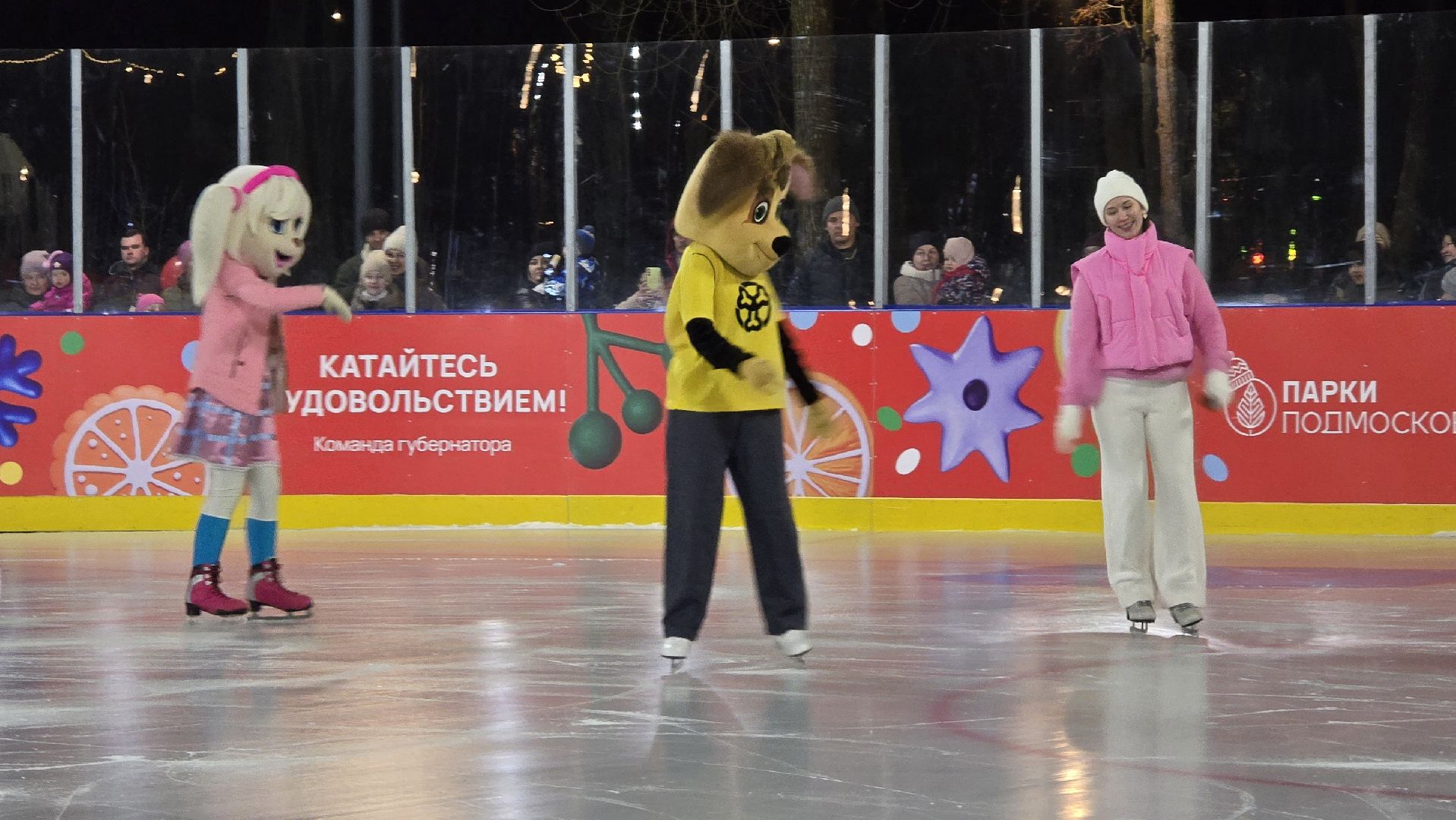 Коломна, каток, зима в подмосковье,