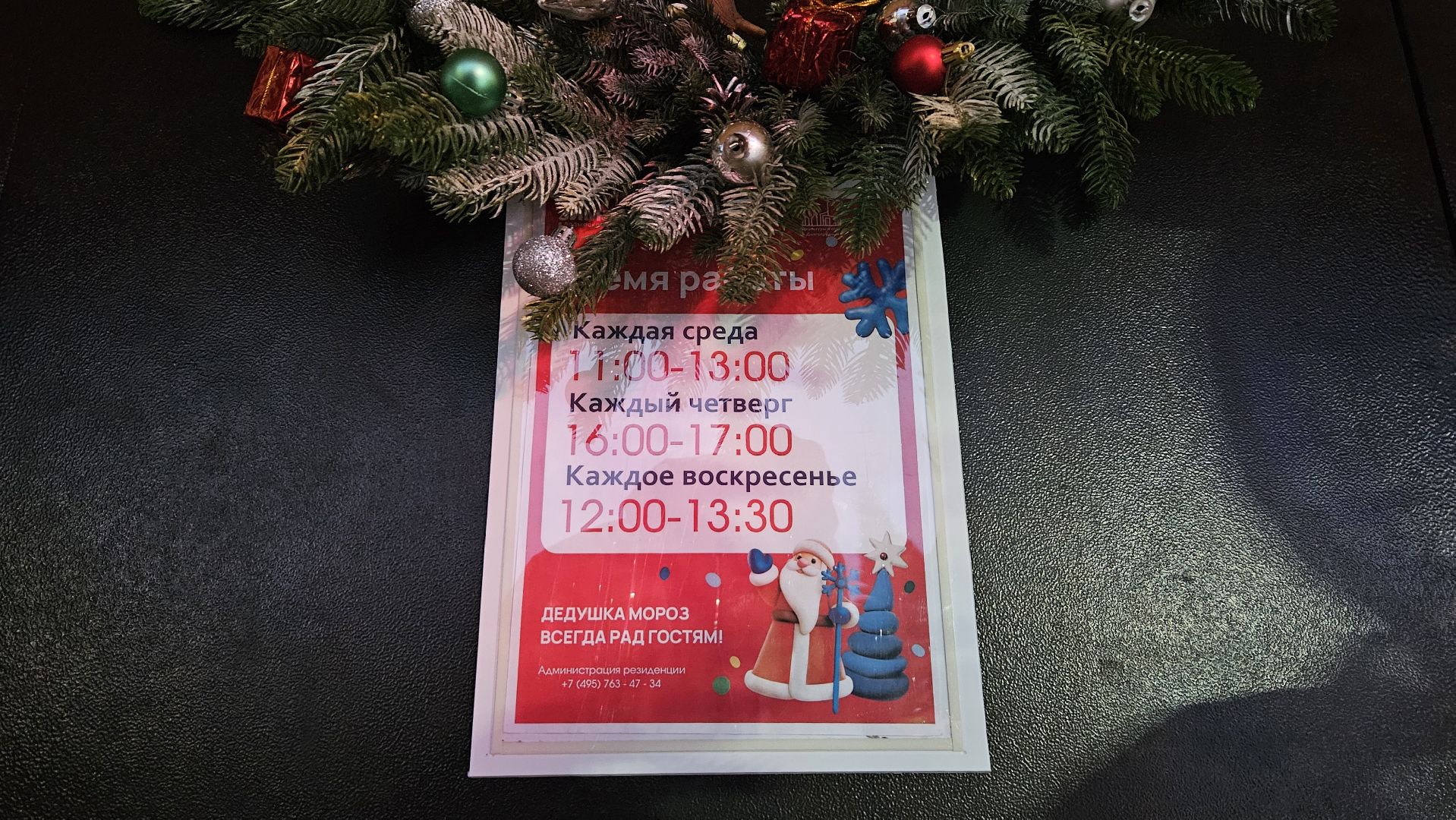 долгопрудный, зима в подмосковье 2025, ледовый каток, ледовое шоу,  новогодняя елка, дед мороз,почта деда мороза, резиденция деда мороза,