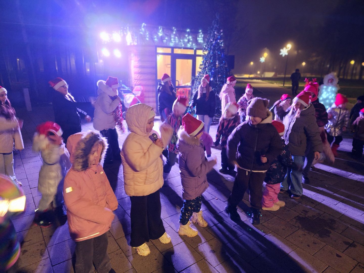 сергиево-посадский городской округ, краснозаводск, парк победы, зима в  подмосковье, зимний сезон в парке, ёлка,