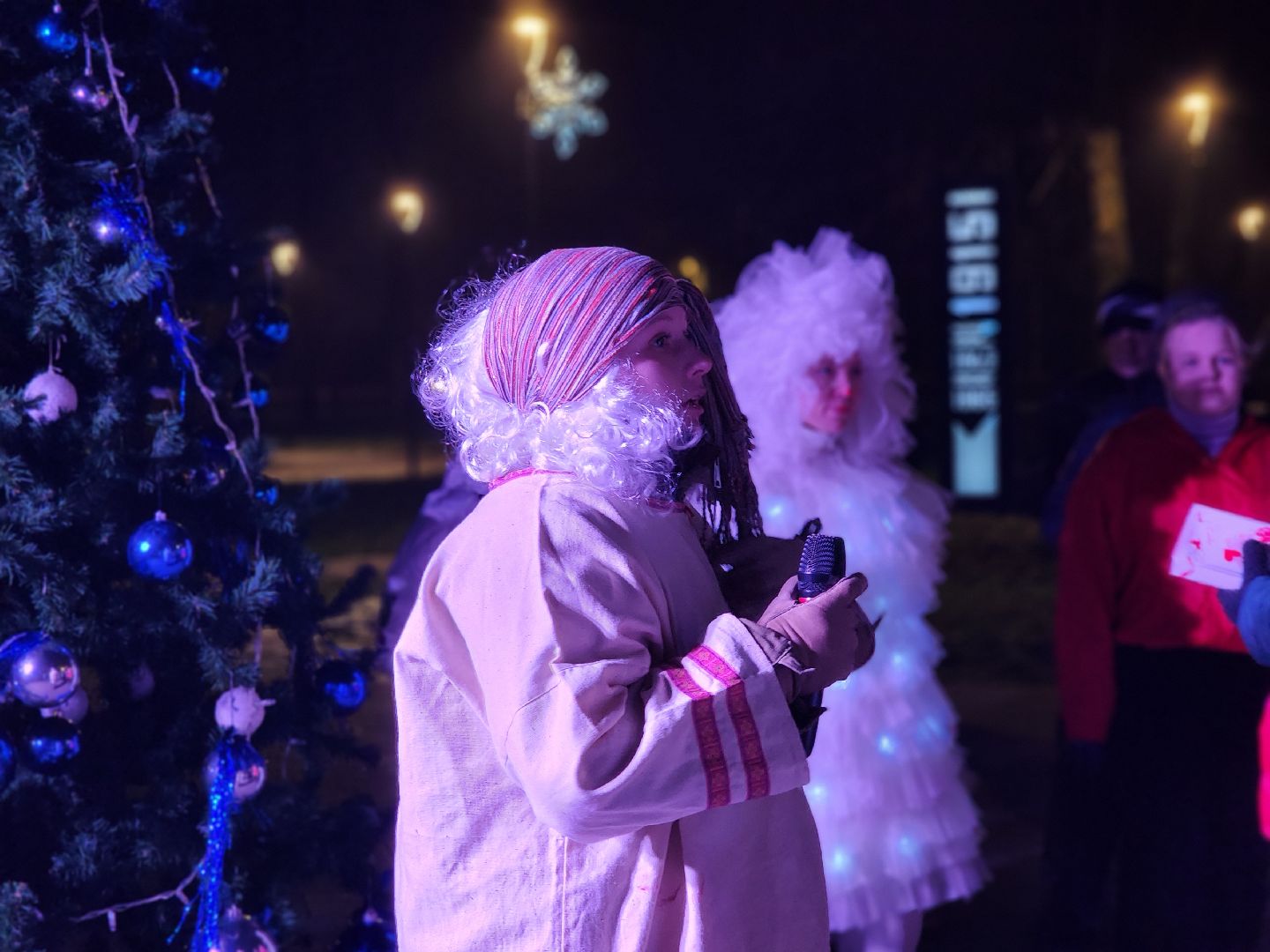 сергиево-посадский городской округ, краснозаводск, парк победы, зима в  подмосковье, зимний сезон в парке, ёлка,
