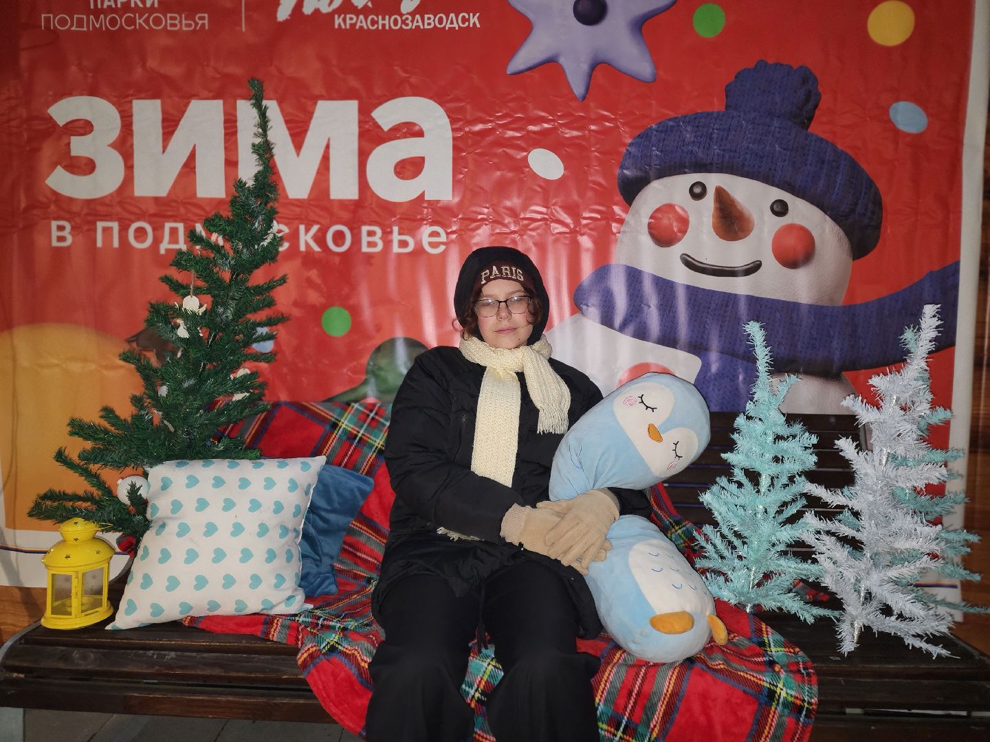 сергиево-посадский городской округ, краснозаводск, парк победы, зима в  подмосковье, зимний сезон в парке, ёлка,