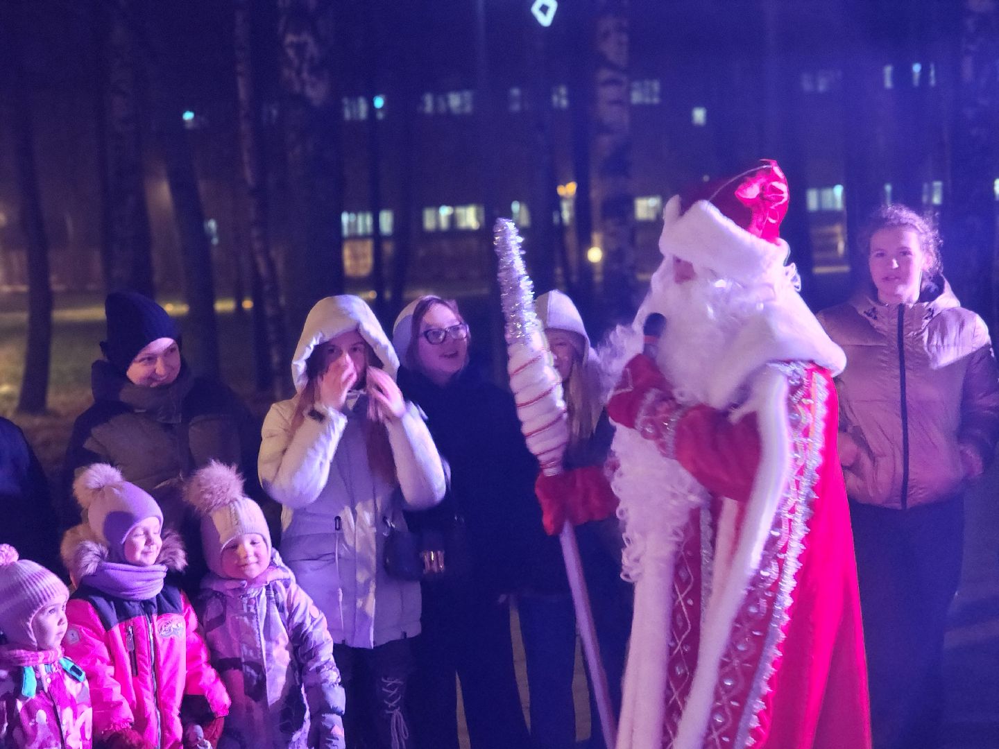 сергиево-посадский городской округ, краснозаводск, парк победы, зима в  подмосковье, зимний сезон в парке, ёлка,