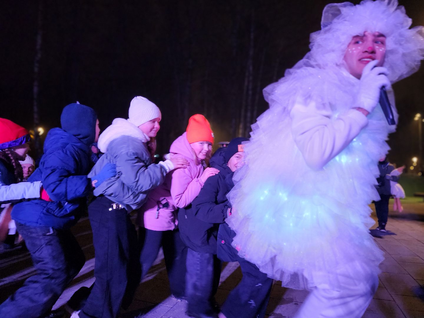 сергиево-посадский городской округ, краснозаводск, парк победы, зима в  подмосковье, зимний сезон в парке, ёлка,