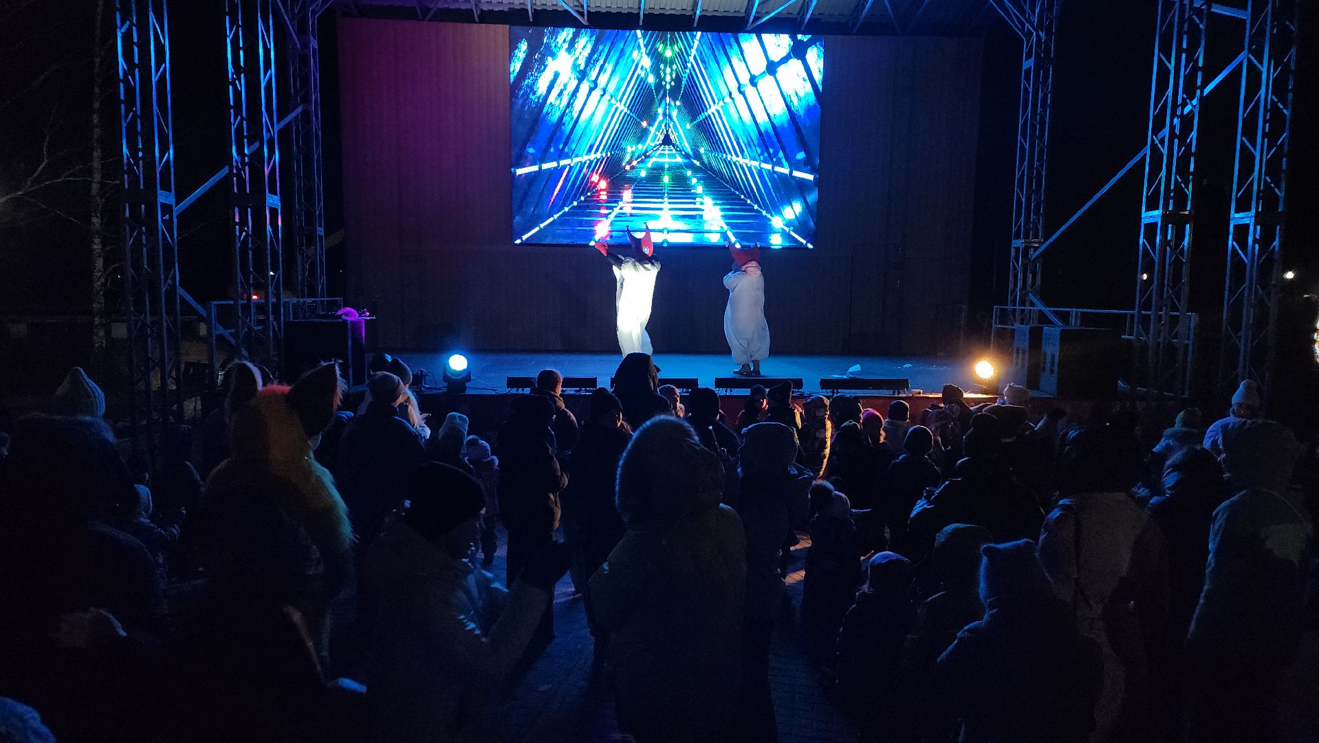 шаховская, новогоднее настроение, главная елка, зима в  подмосковье,