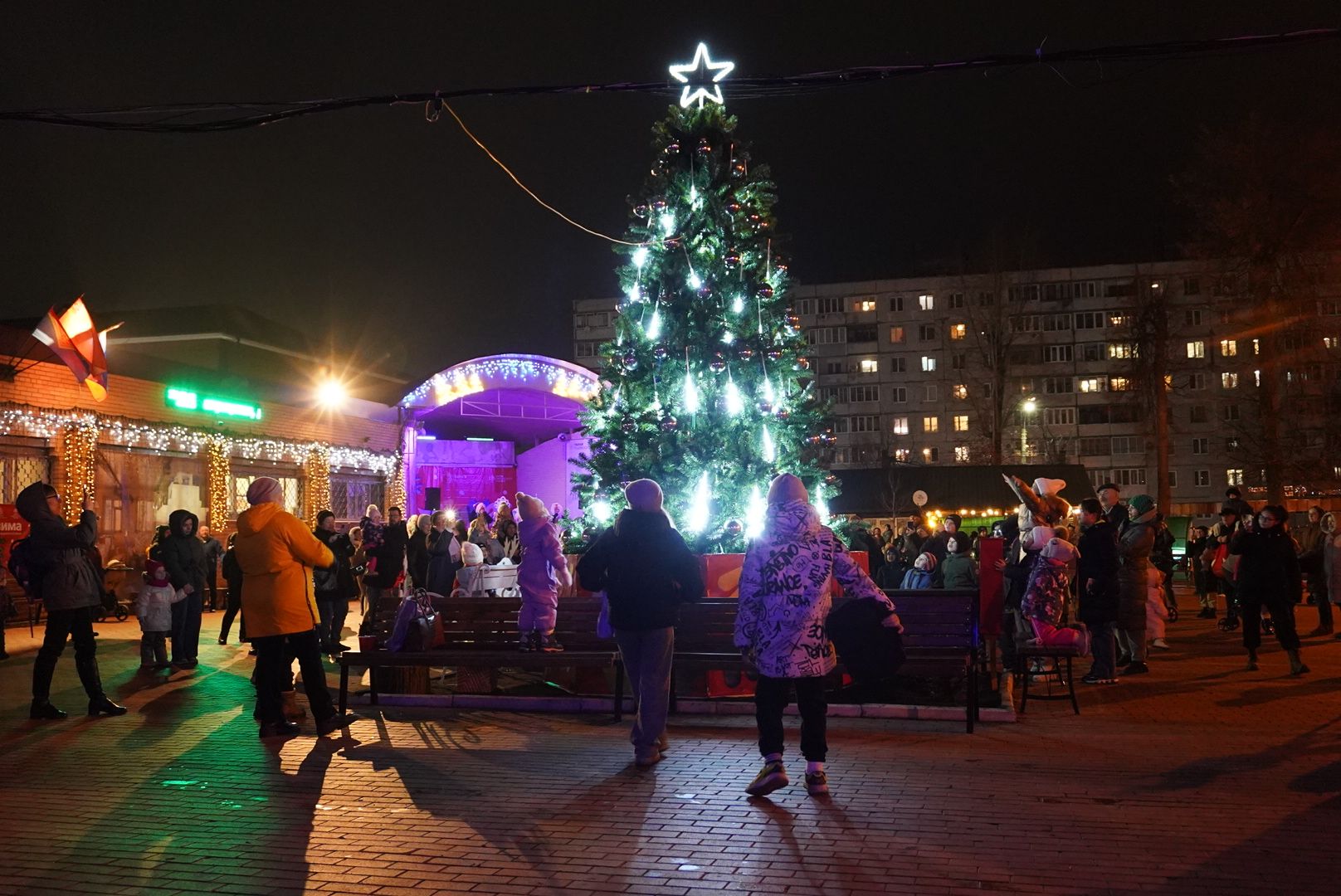 павловский  посад, зима в подмосковье, праздник,
