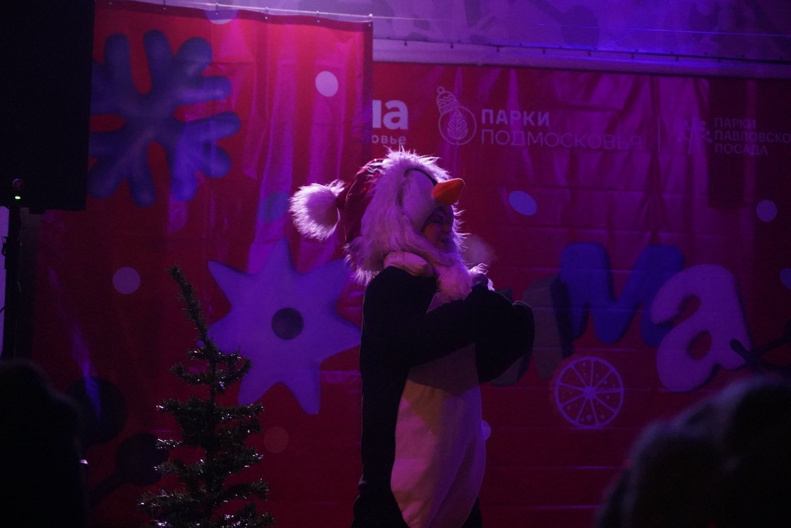 павловский  посад, зима в подмосковье, праздник,