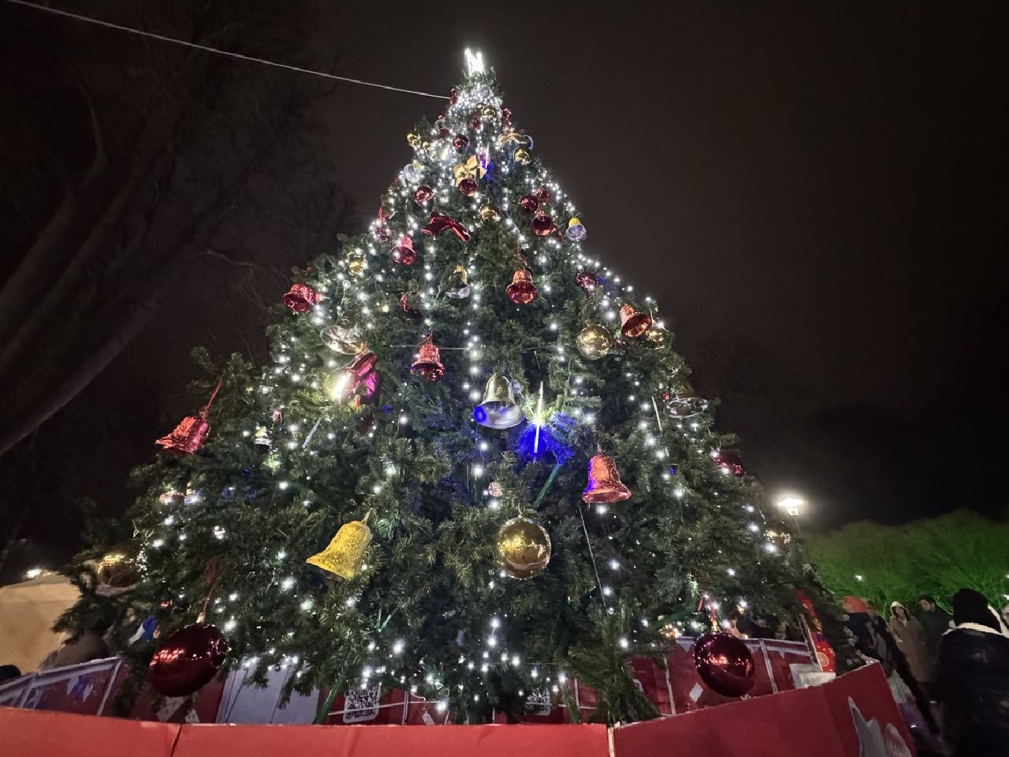 сергиев посад, парк скитские пруды, открытие зимнего сезона ,