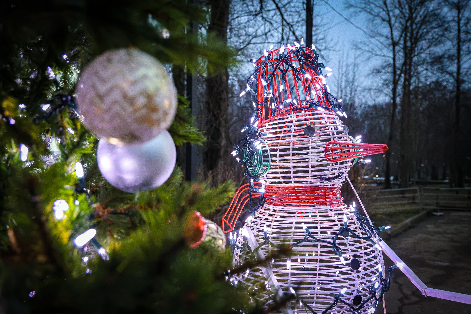 клин, общество, зима в  подмосковье, открытие резиденции деда мороза,