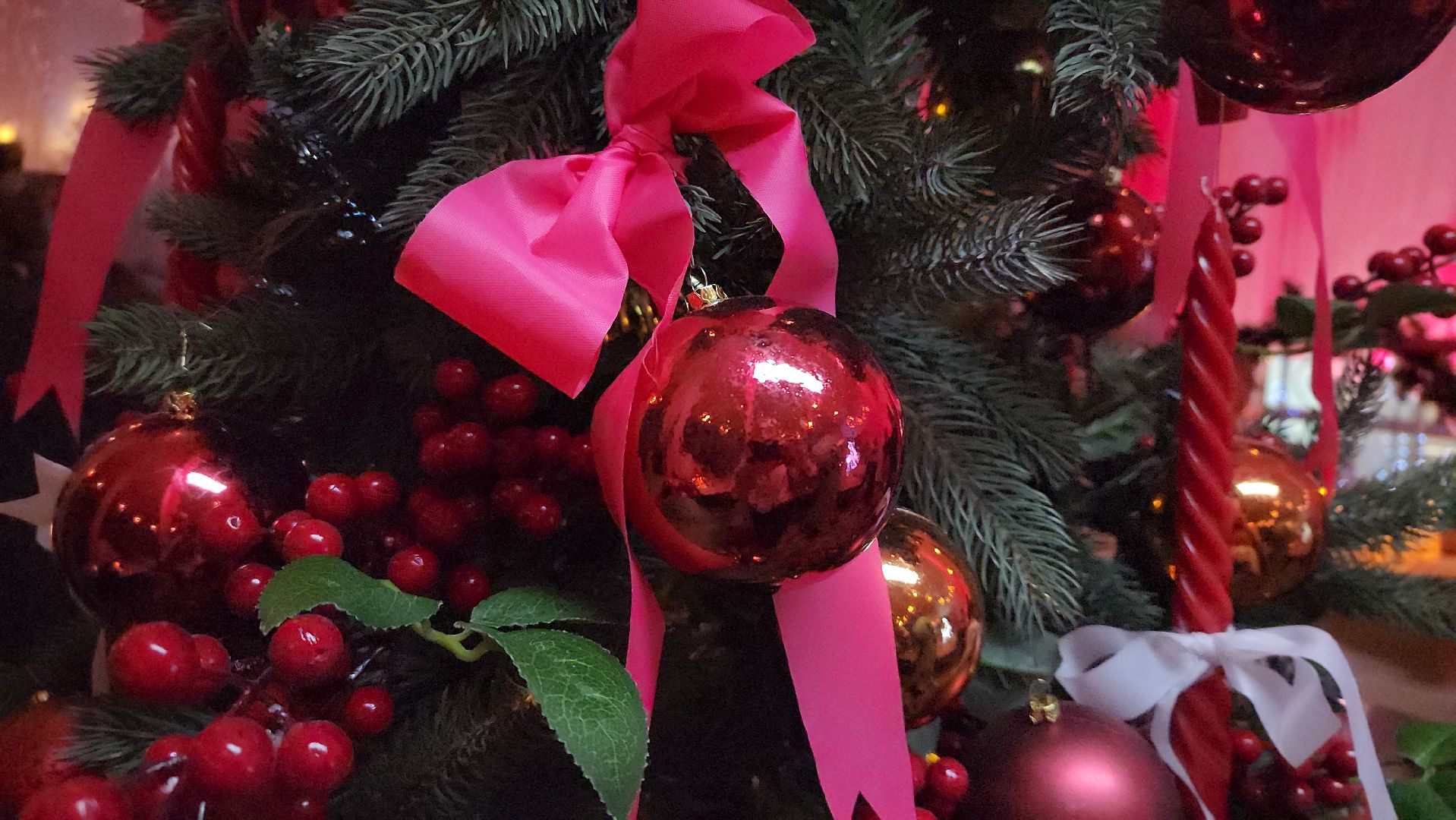 мытищи, открытие зимнего сезона,