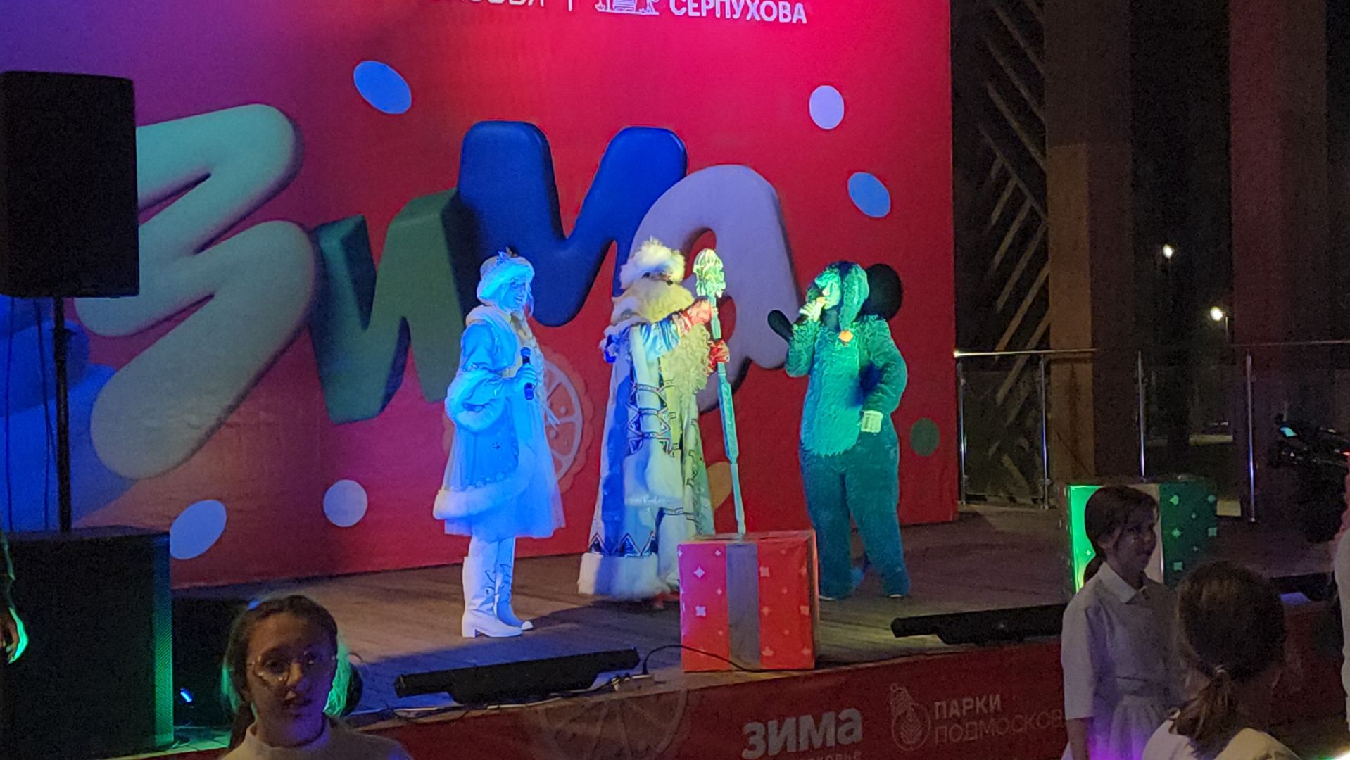 серпухов, парк имени олега степанова,  зима в подмосковье,