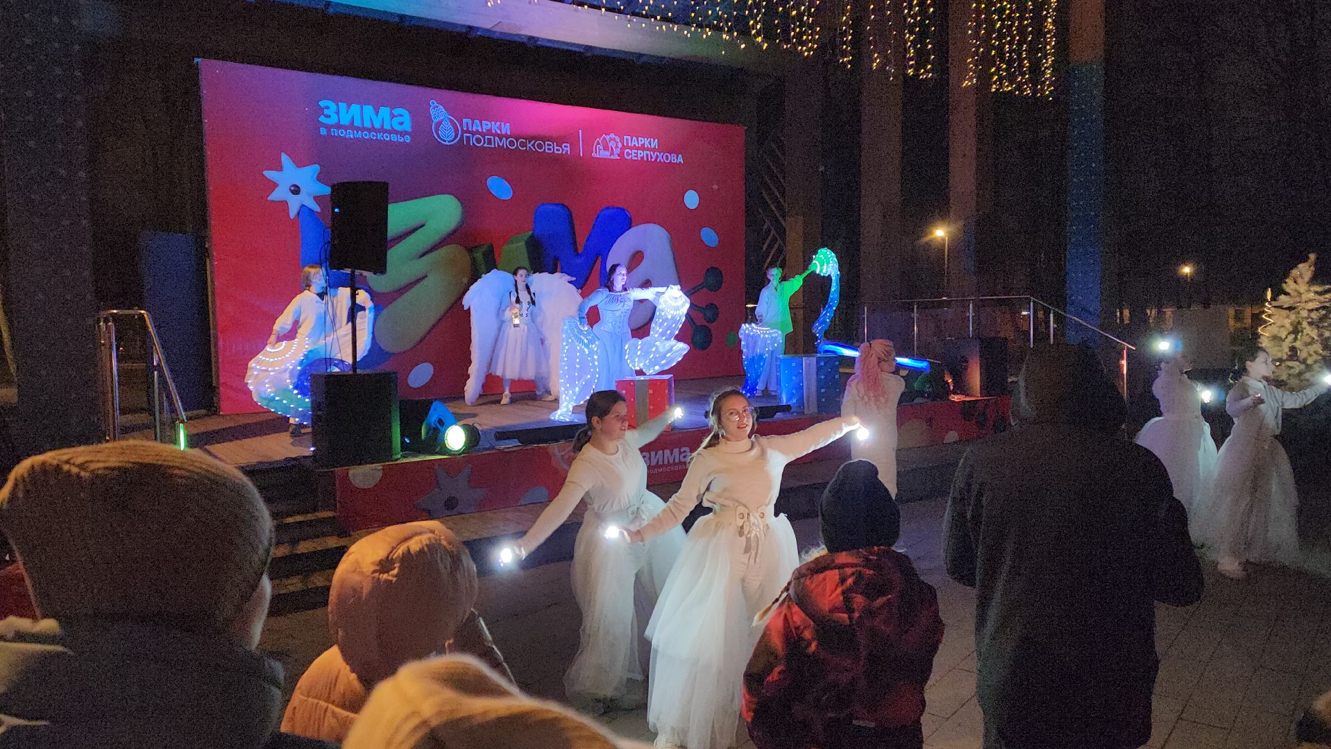 серпухов, парк имени олега степанова,  зима в подмосковье,