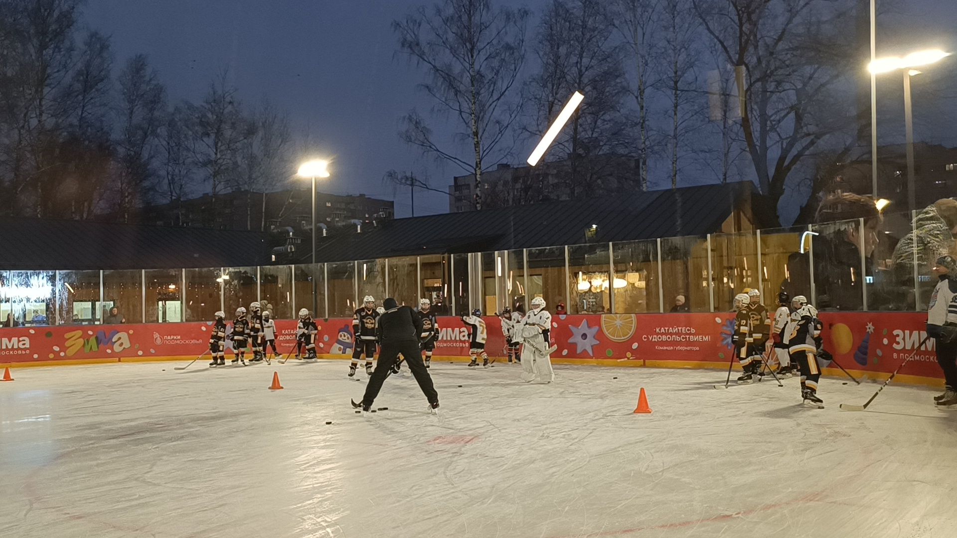 зима в  подмосковье, парк, лобня,