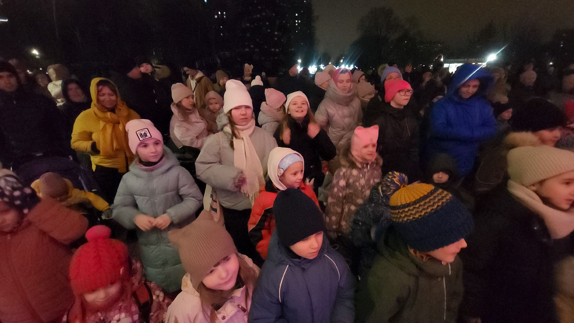 Люберцы, глава люберец владимир волков, новогодняя елка, наташинский парк,