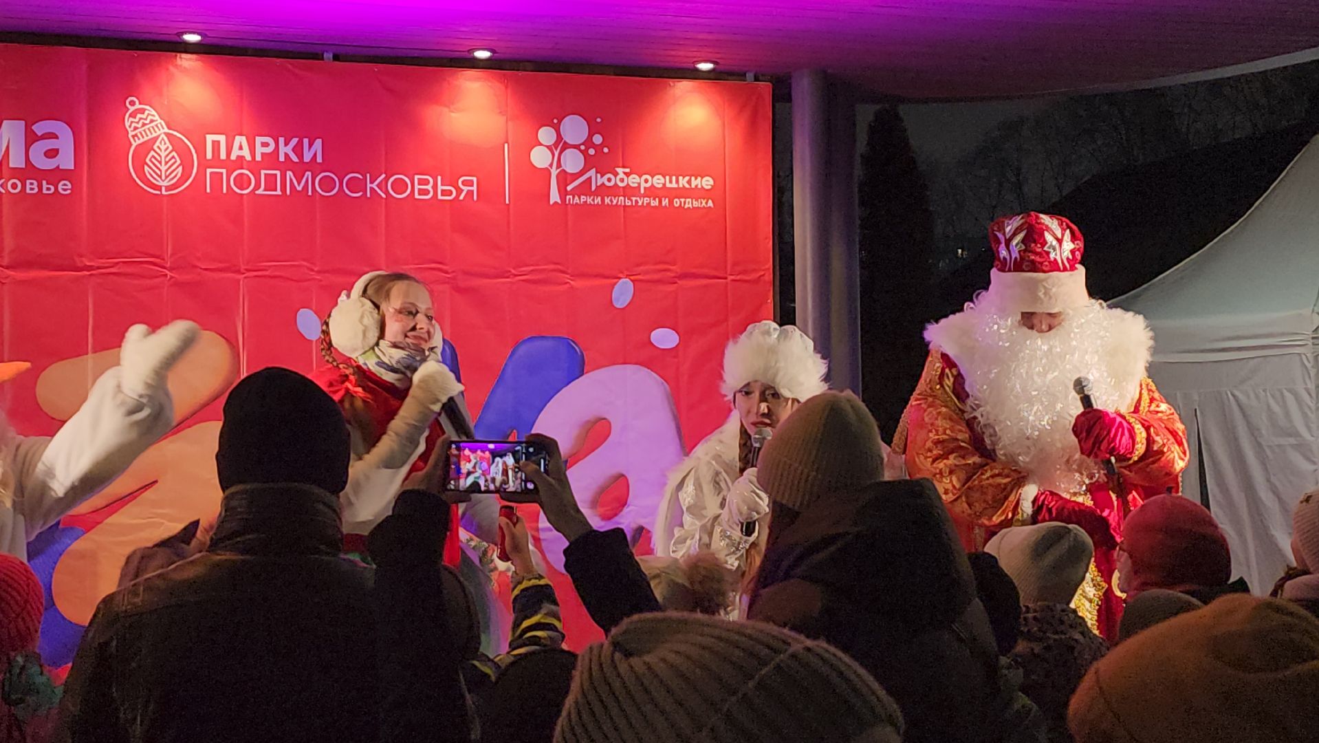 Люберцы, глава люберец владимир волков, новогодняя елка, наташинский парк,