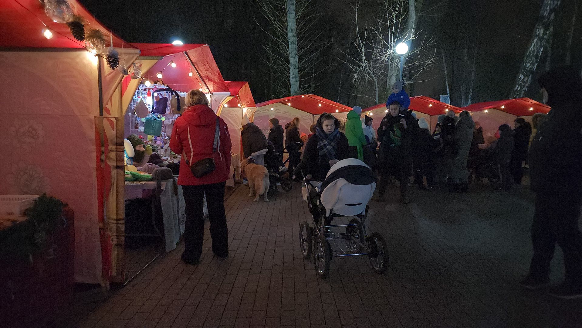кашира, открытие зимнего сезона, праздник, зима, новый год , парк, дед мороз,