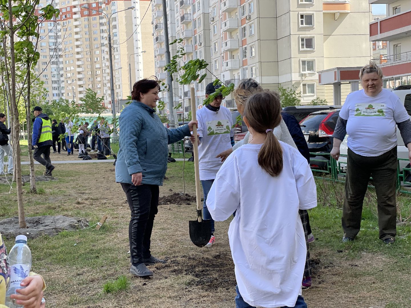 Акция, Лес Победы, деревья, высадка