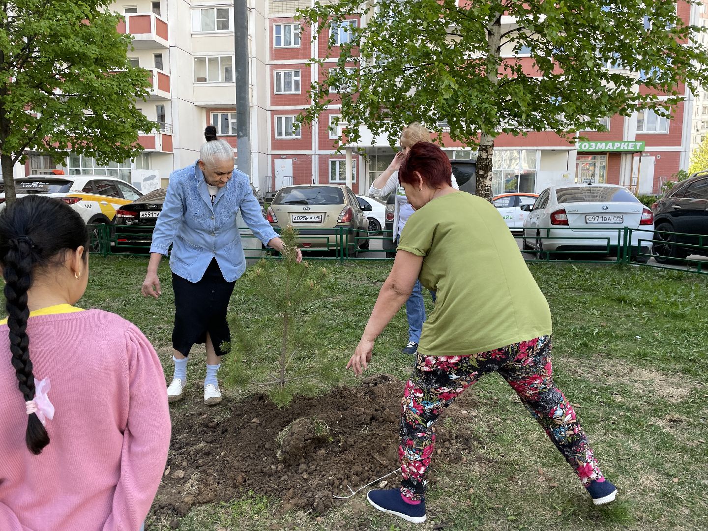 Акция, Лес Победы, деревья, высадка