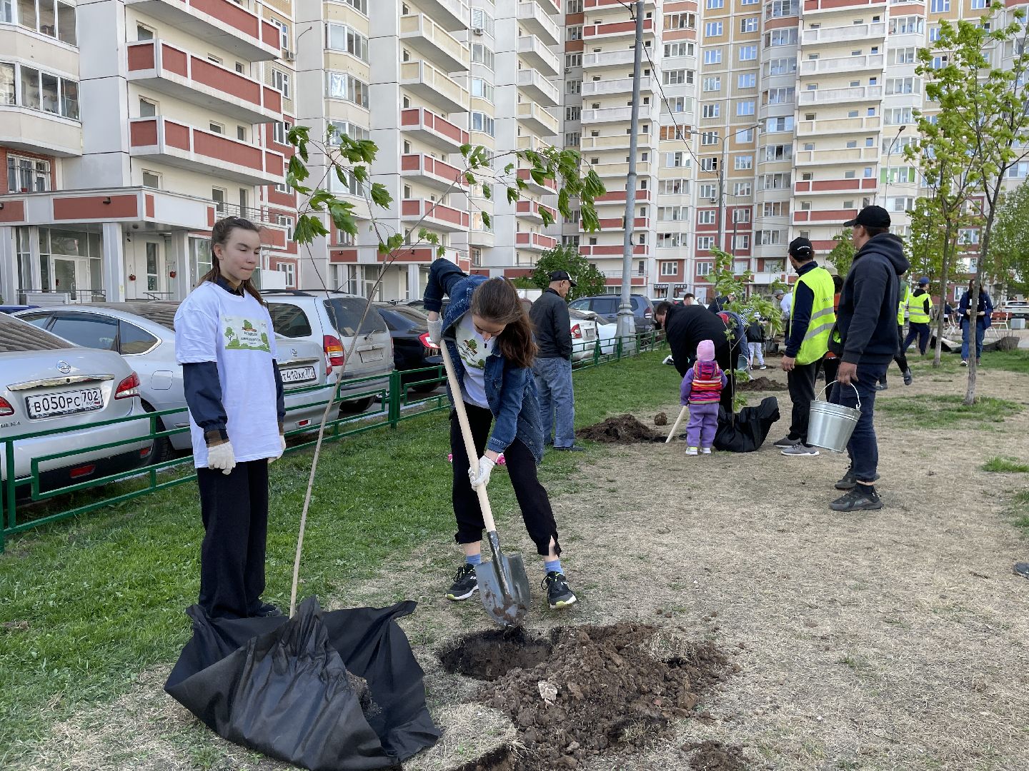 Акция, Лес Победы, деревья, высадка