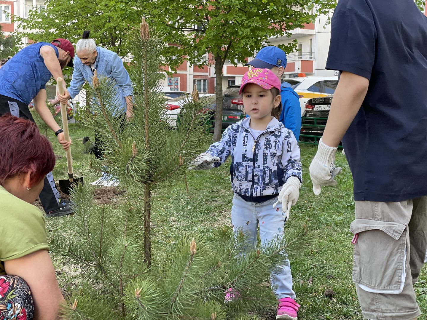 Акция, Лес Победы, деревья, высадка