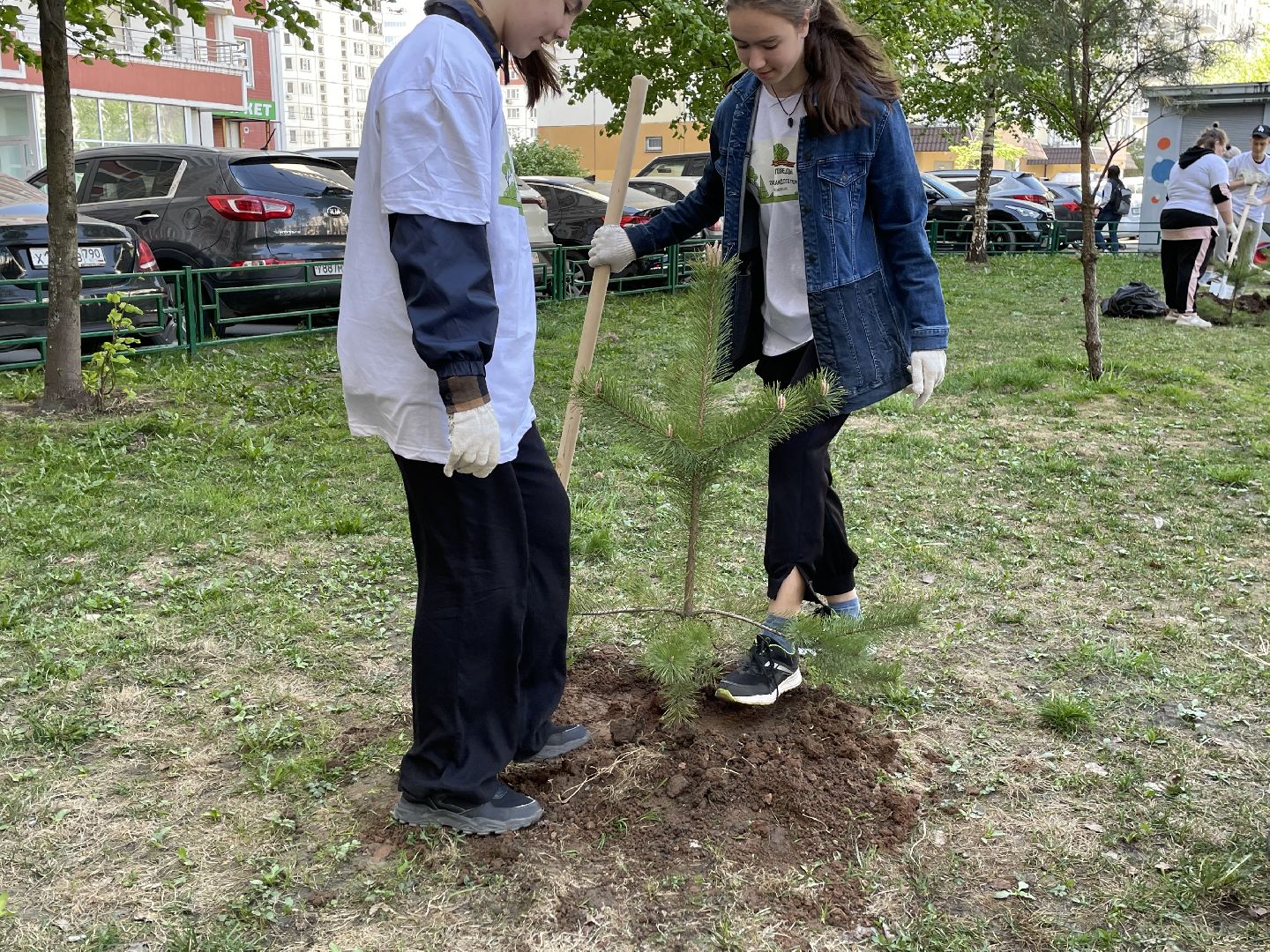 Акция, Лес Победы, деревья, высадка