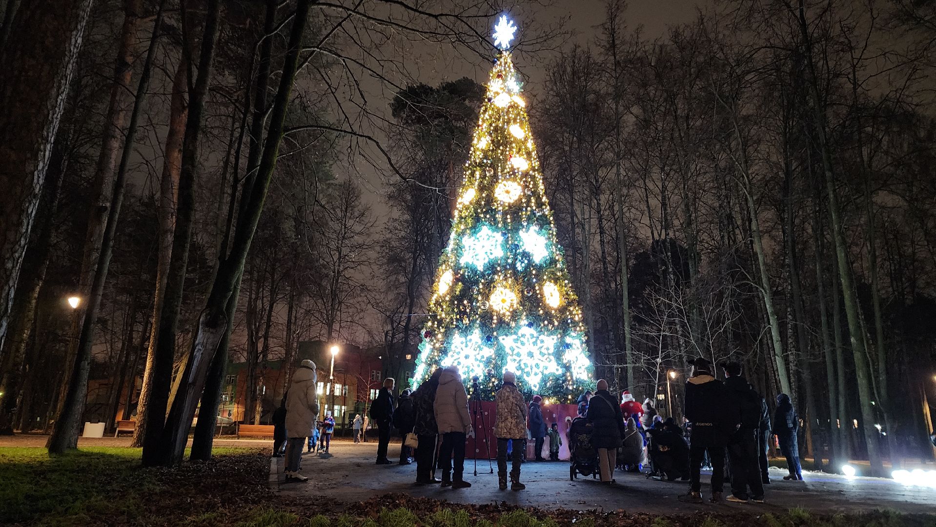 городской парк, красногорск, зажжение елки, дед мороз,
