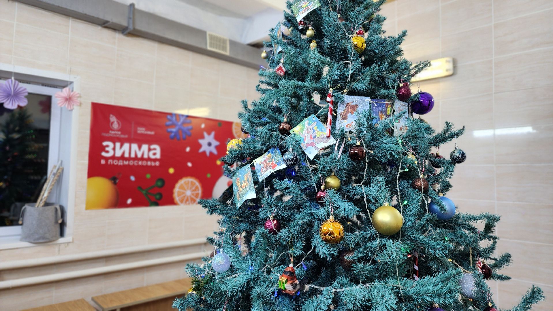 клин, высоковск, березовый парк, зимний сезон, мастер-классы,