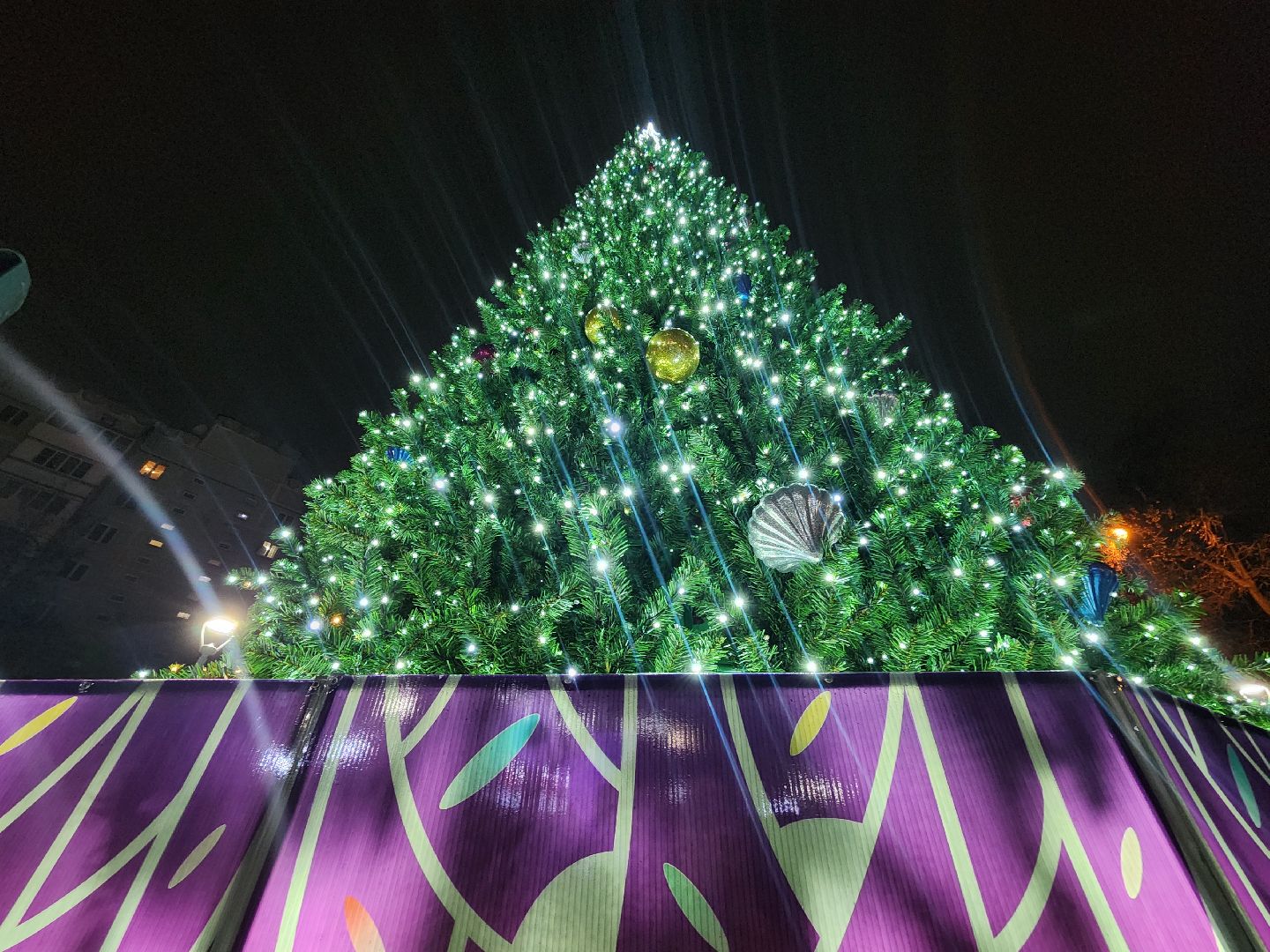 красногорск, зима в  подмосковье, зажжение огней на елке,