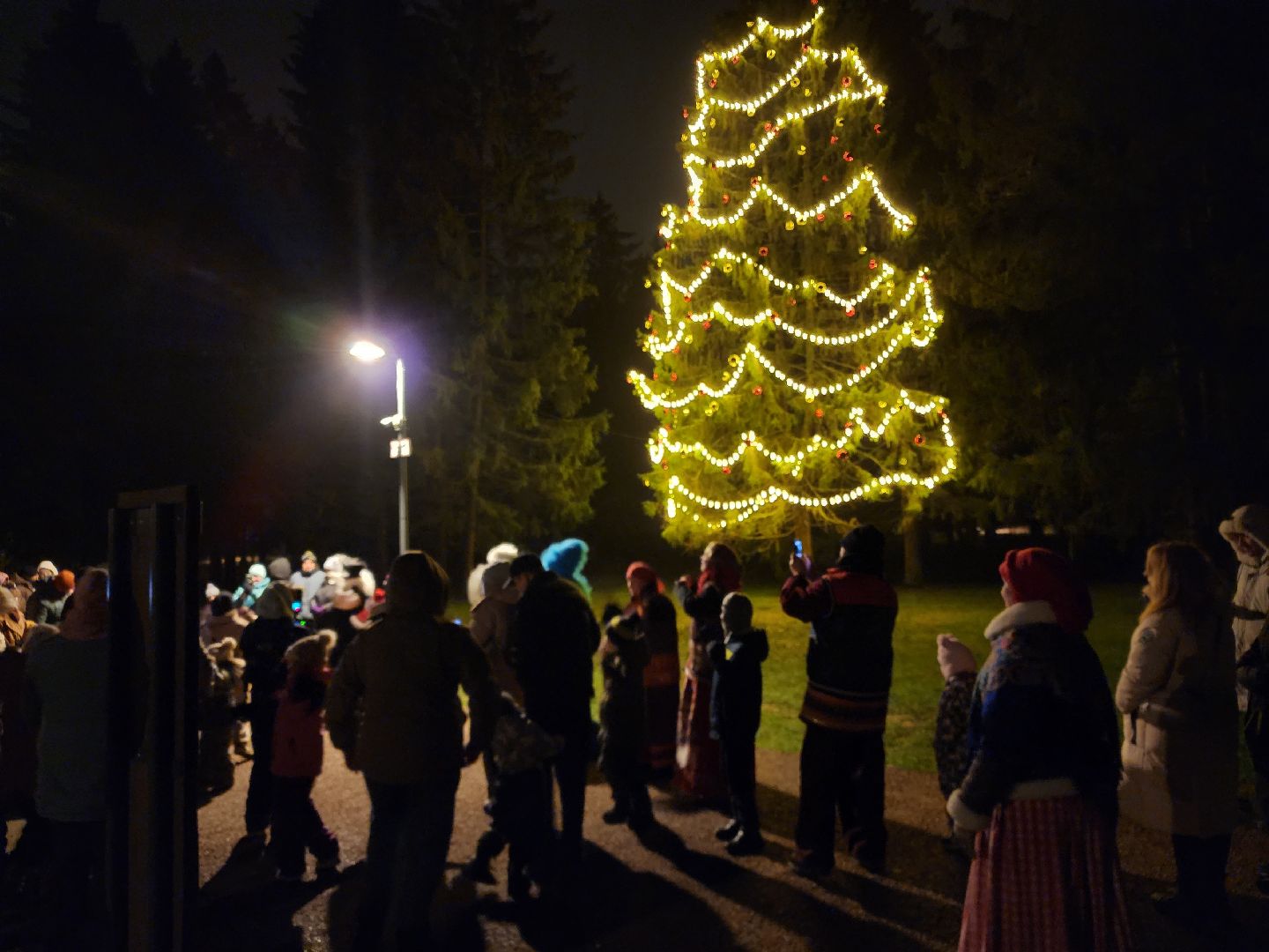 сергиев посад, сергиево-посадский городской округ,  лесопарк загорское море, зима в подмосковье, зимний сезон, зимний сезон в парке,семхоз,