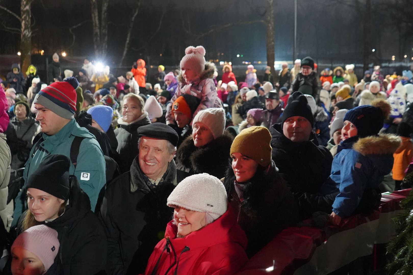 ступино, парк, Дед Мороз, елка,