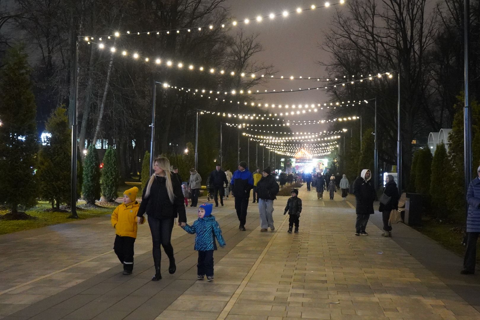 ступино, парк, Дед Мороз, елка,