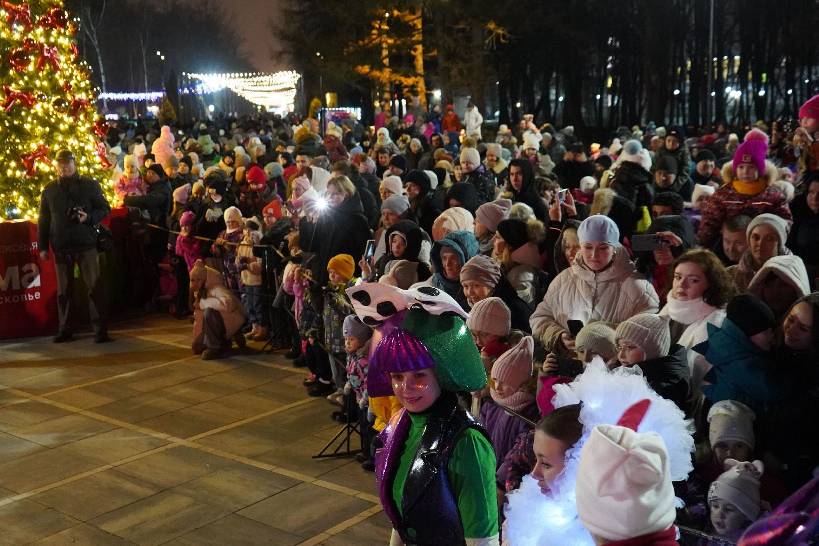 ступино, парк, Дед Мороз, елка,