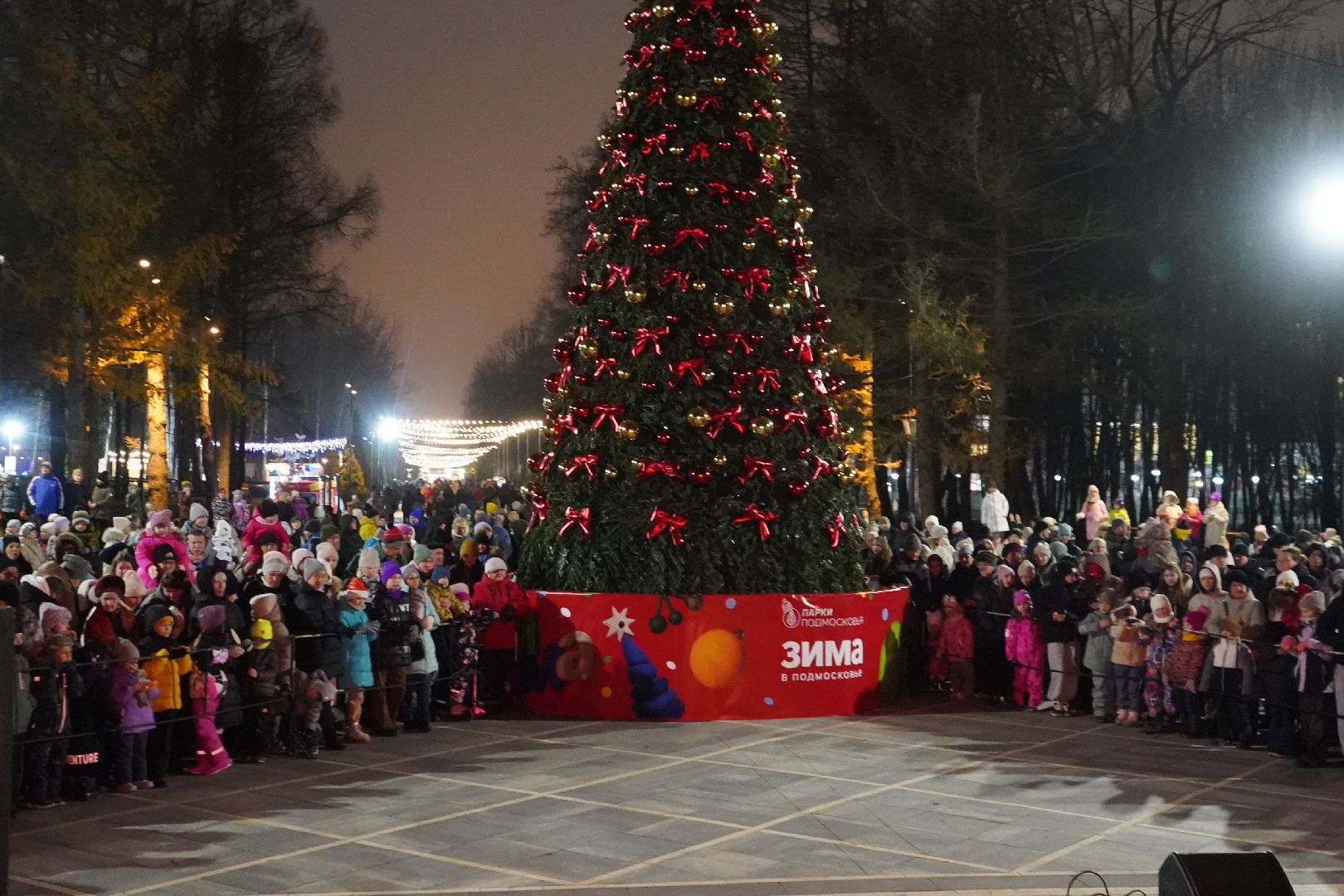 ступино, парк, Дед Мороз, елка,