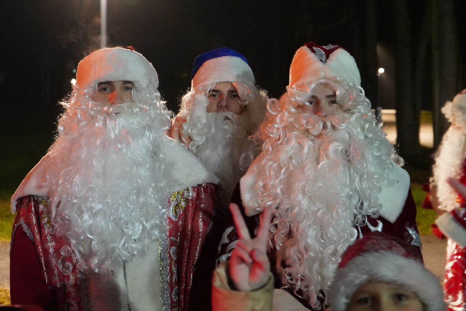 ступино, парк, Дед Мороз, елка,