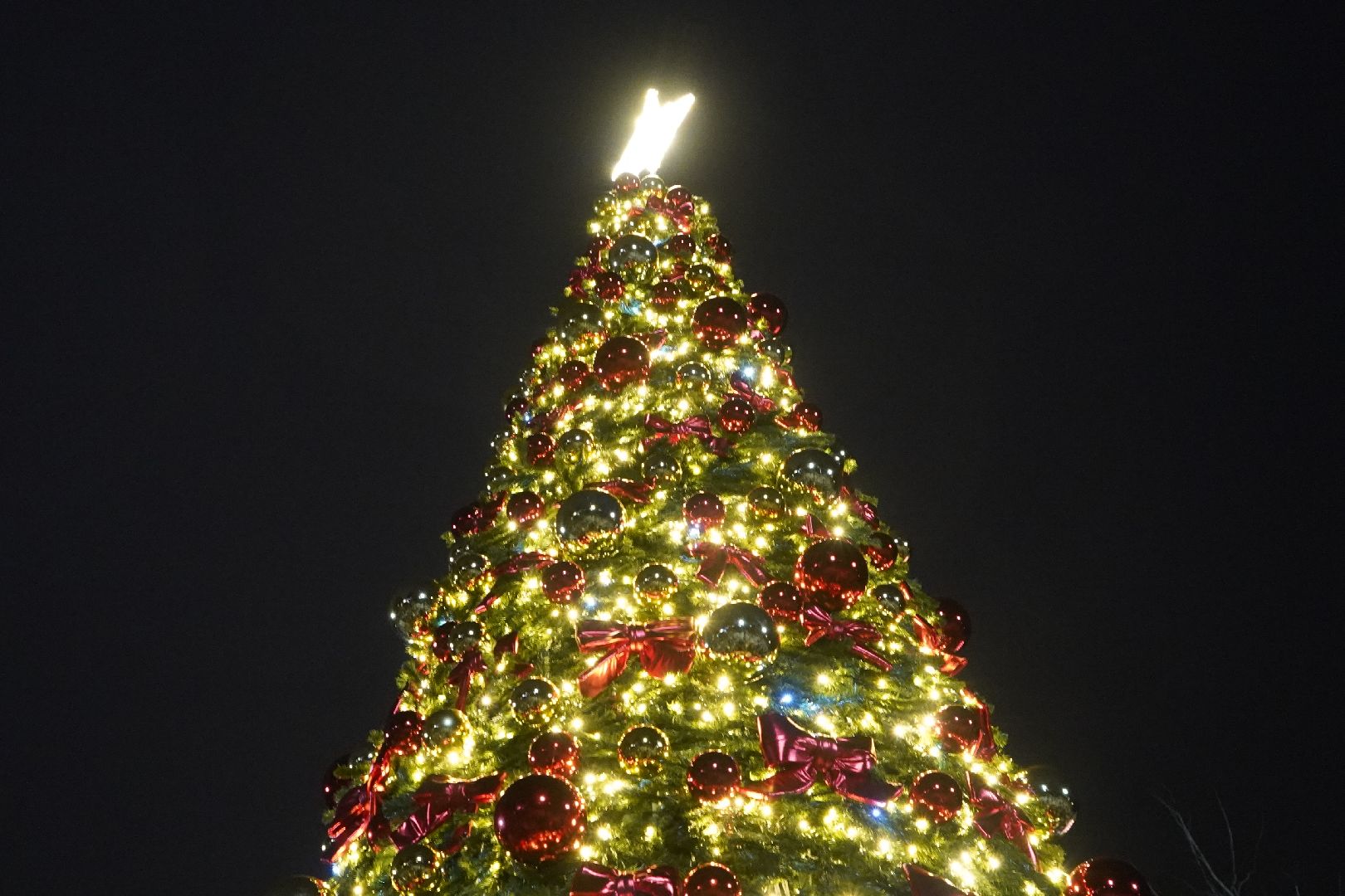 ступино, парк, Дед Мороз, елка,