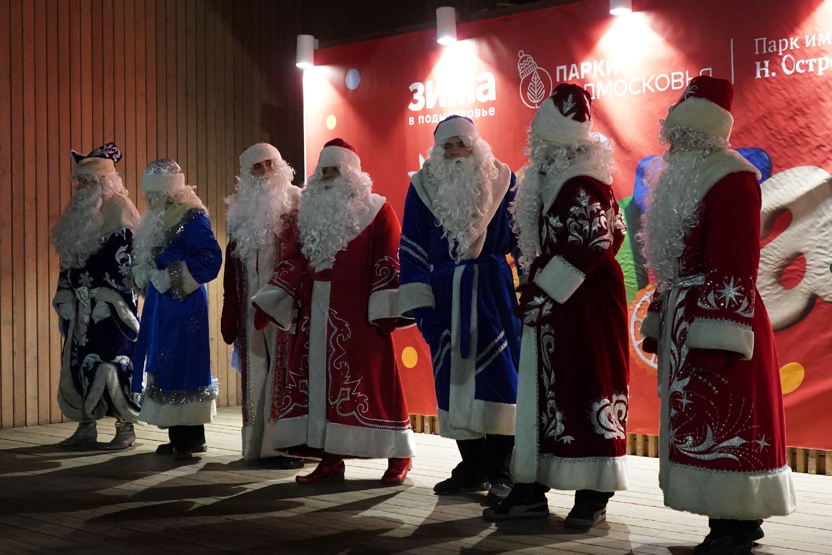 ступино, парк, Дед Мороз, елка,