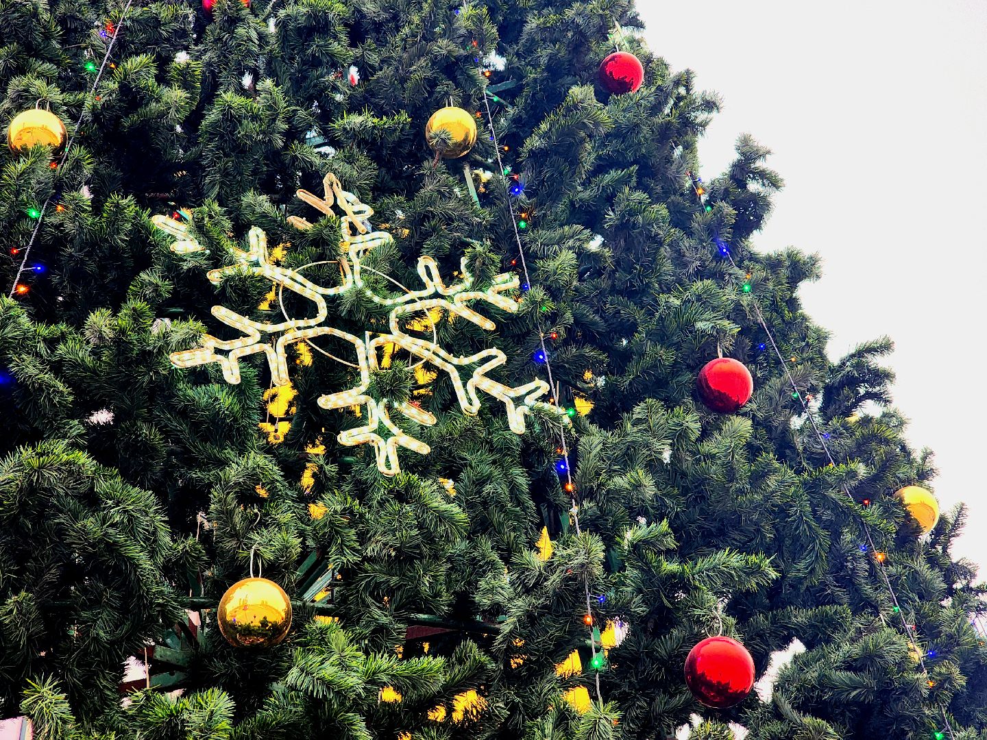 новый год, украшения города, елки, гирлянды, общественные пространства,