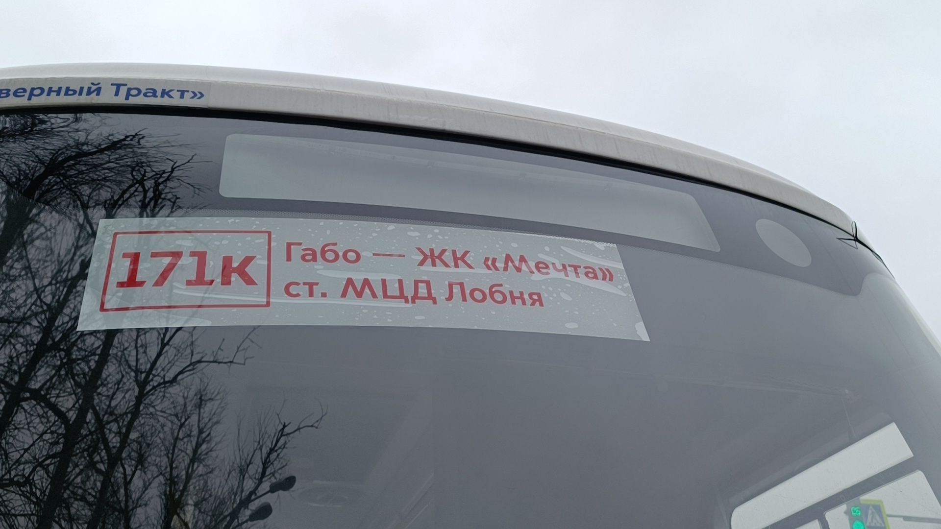 транспорт , лобня, автобус,