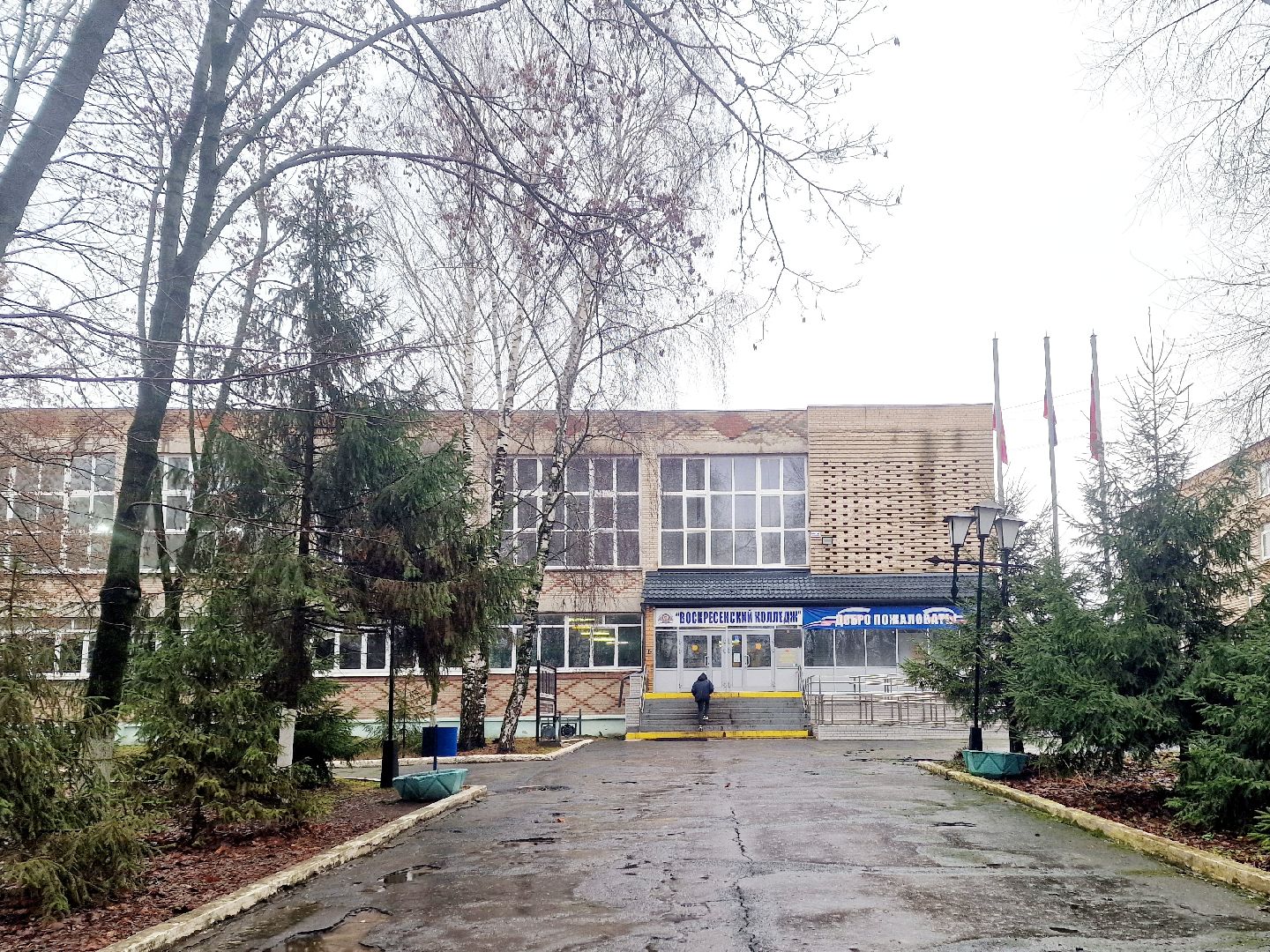 воскресенск,воскресенский колледж ,